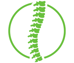 Oz Chiropractic Spine